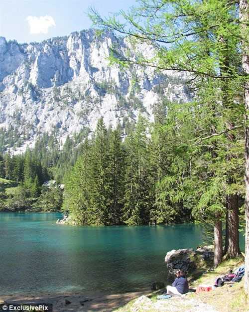 Perierga.gr - Πράσινη λίμνη Perierga.gr - Πράσινη λίμνη