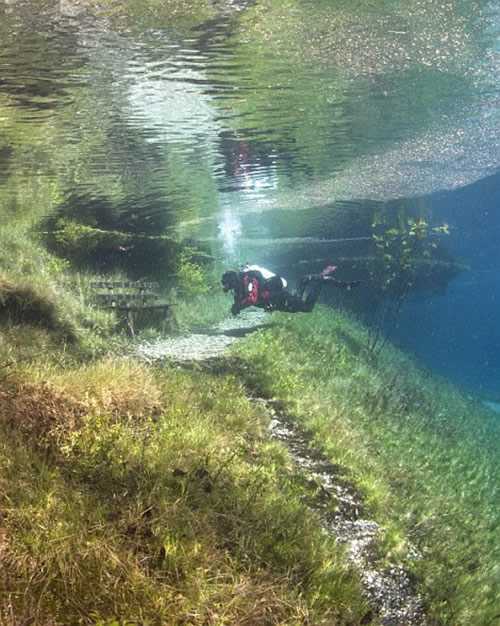 Perierga.gr - Πράσινη λίμνη Perierga.gr - Πράσινη λίμνη