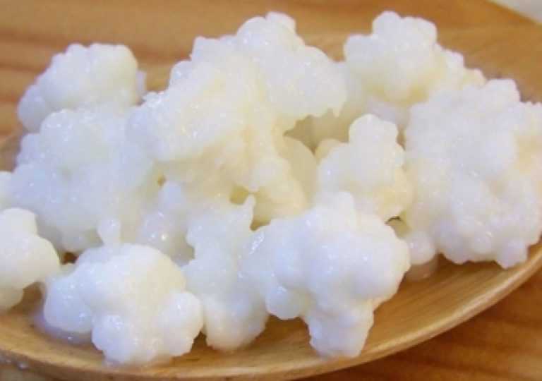 tromaktiko-122943-kefir-768x540.jpg