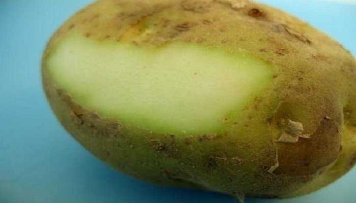 tromaktiko32261