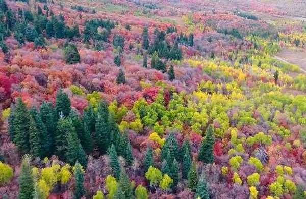 Όταν η φύση χαρίζει απλόχερα τα χρώματά της… το αποτέλεσμα μαγεύει! (vid)
