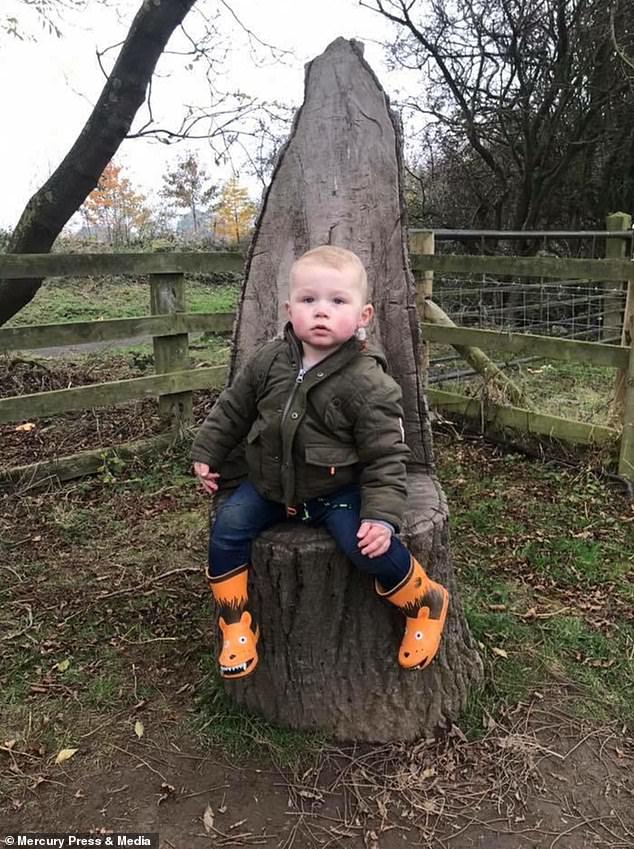 Jay Squires at 21 months. His mum said he hasn