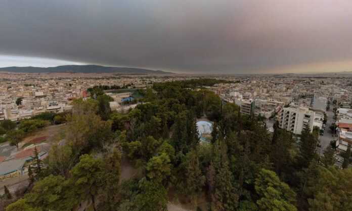 chardalias-1222139-dasos-apagoreusi-kikloforias.jpg