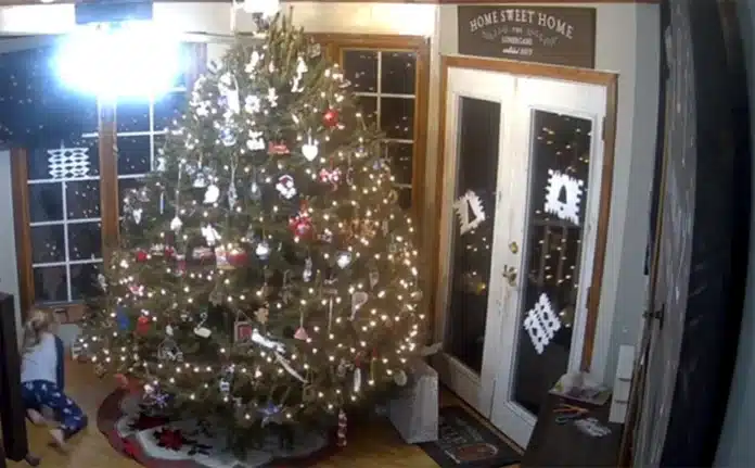 christmas-tre