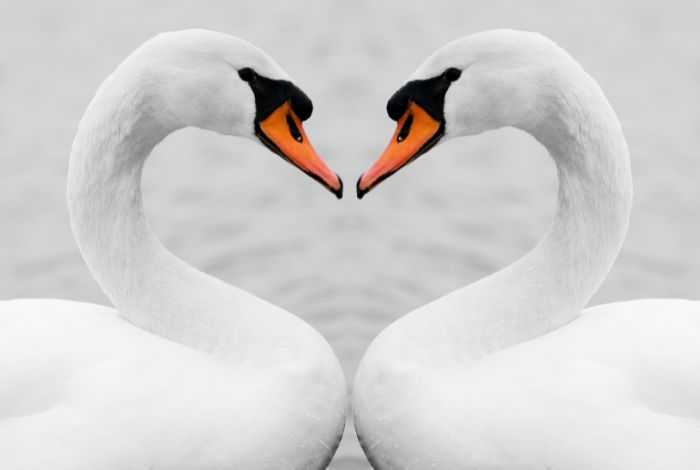 12 συγκινητικές ιστορίες που αποδεικνύουν ότι η πραγματική αγάπη υπάρχει στ' αλήθεια. Με την 9η θα λυγίσετε