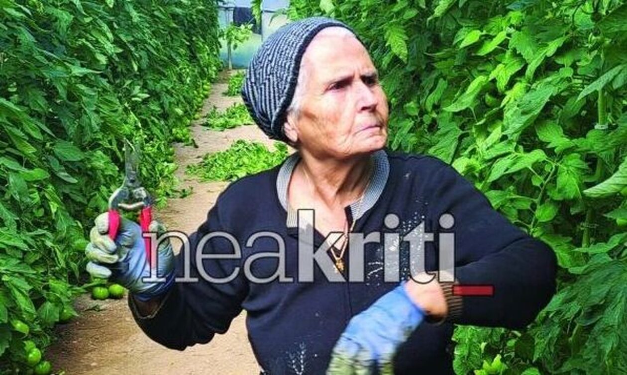 Ιεράπετρα: Λεβέντισσα γιαγιά δουλεύει στα 84 της στα θερμοκήπιά της – Δεν βρίσκει εργάτες