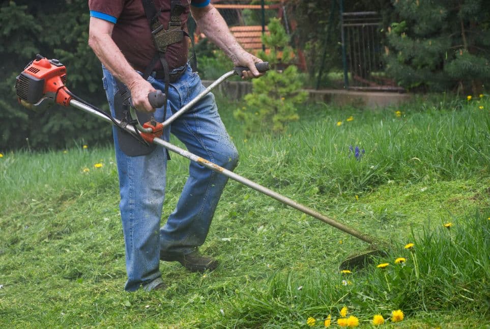 Δεν καθαρίζεις το οικόπεδό σου; Έρχονται μεγάλα πρόστιμα