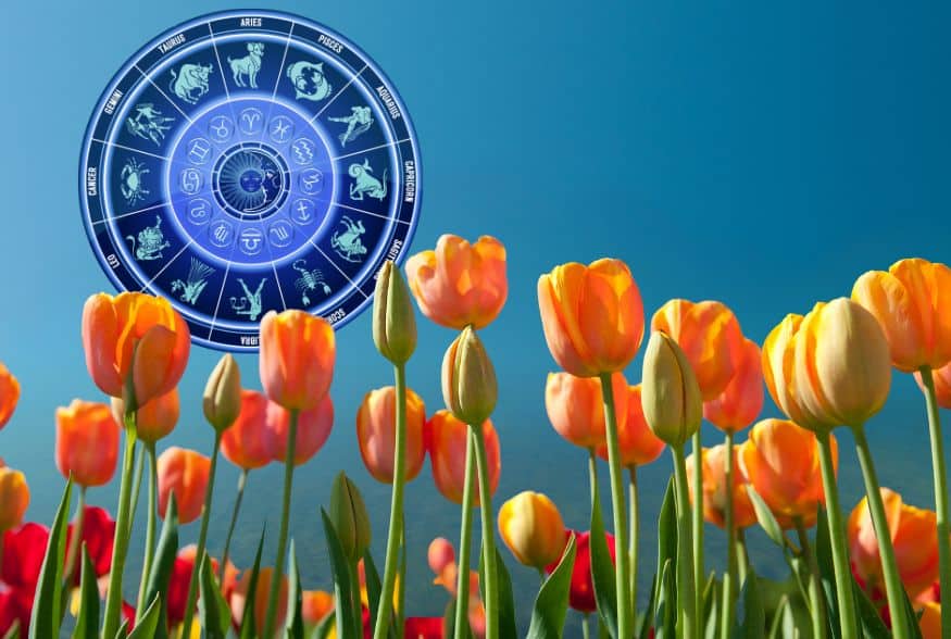 Πώς ζει κάθε ζώδιο την Άνοιξη