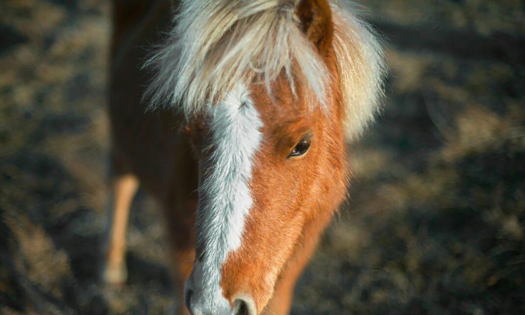 Απίστευτη δικαιολογία ενός άνδρα που 