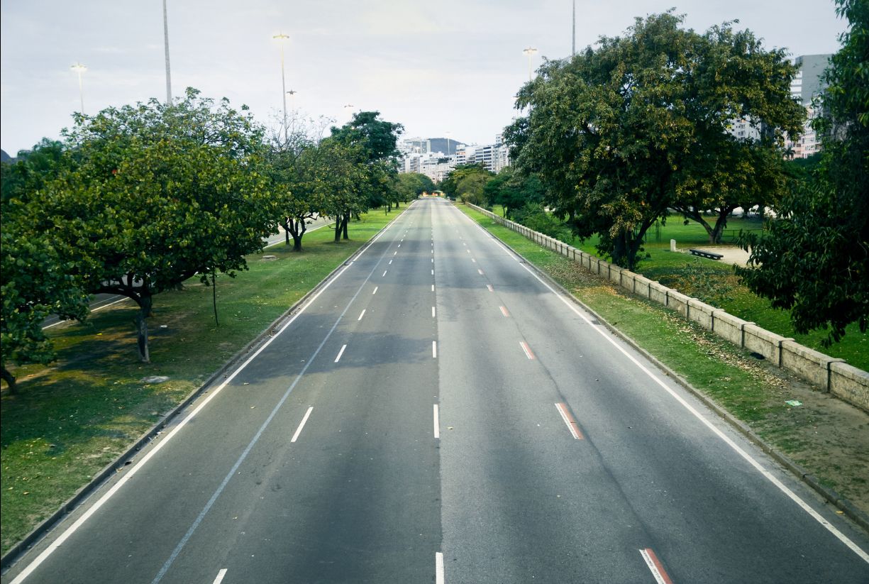 Πώς θα ήταν η Γη έναν χρόνο μετά αν οι άνθρωποι εξαφανιζόντουσαν;