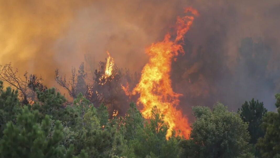 Φωτιά στους Δελφούς