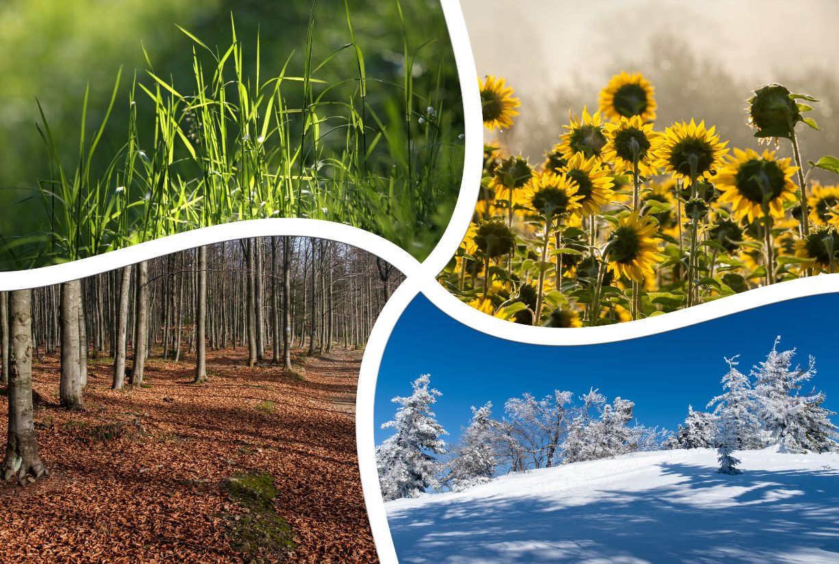 Από που πήραν το όνομά τους οι 12 μήνες του χρόνου;