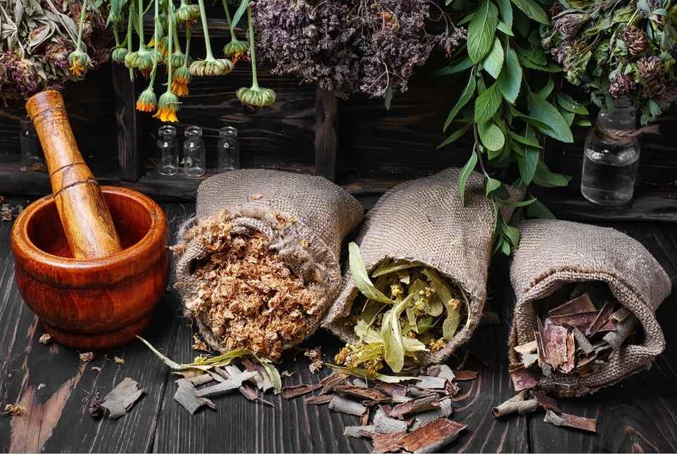 Τα καλύτερα βότανα και μπαχαρικά για την υγεία σας