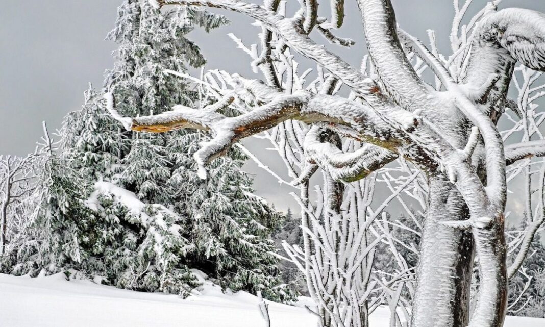 Με τι καιρό θα κάνουμε Χριστούγεννα - Σε ποιες περιοχές θα εκδηλωθούν ισχυρές βροχές και καταιγίδες τη Δευτέρα