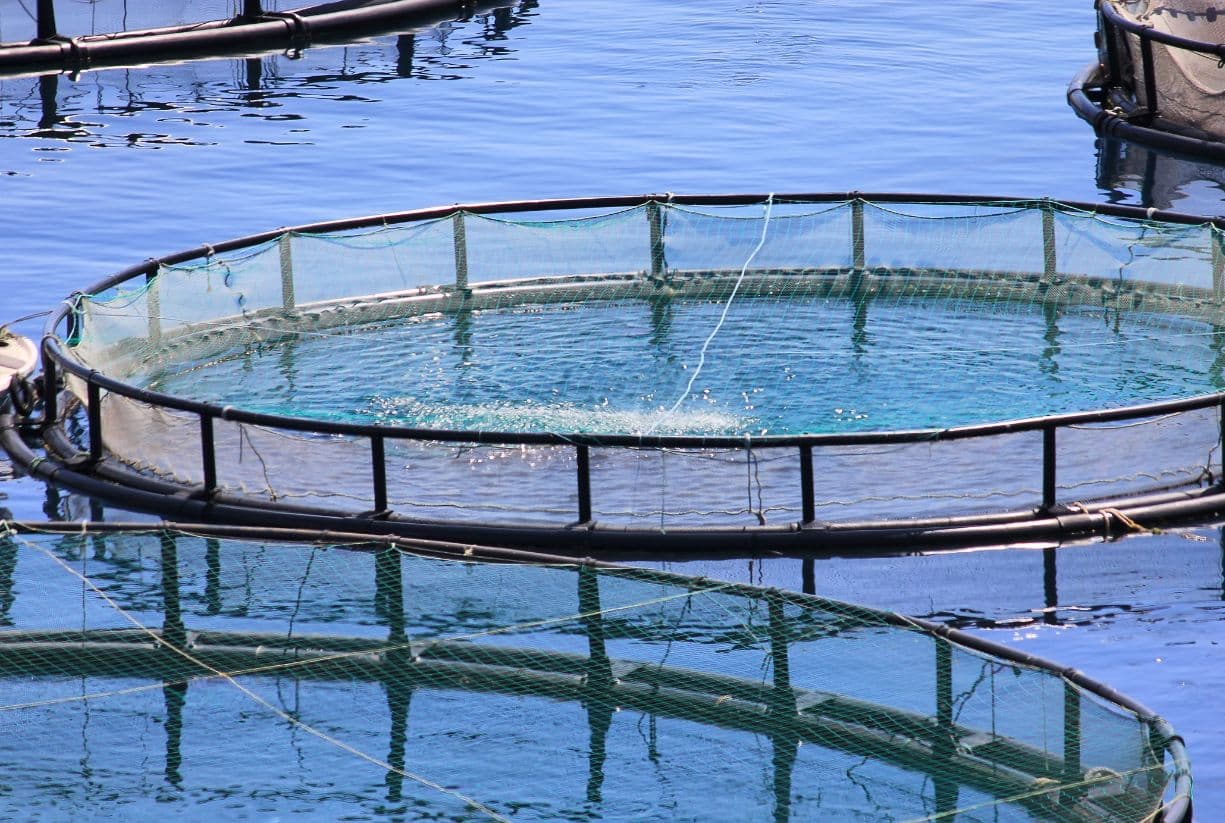 Avramar: Πως μια εταιρία με τζίρο 300 εκατ. ευρώ, είναι έτοιμη να "πνιγεί" 