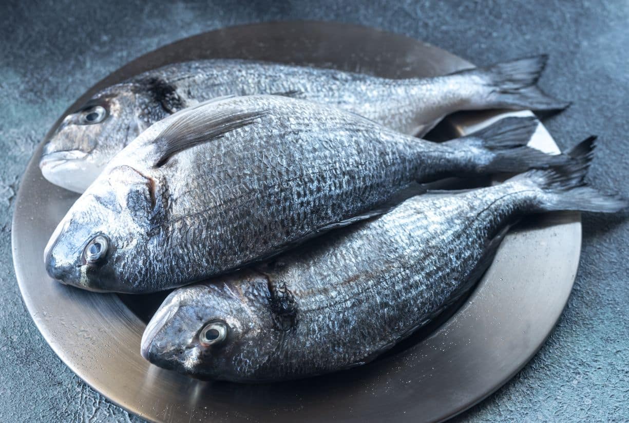 Avramar: Πως μια εταιρία με τζίρο 300 εκατ. ευρώ, είναι έτοιμη να "πνιγεί" 