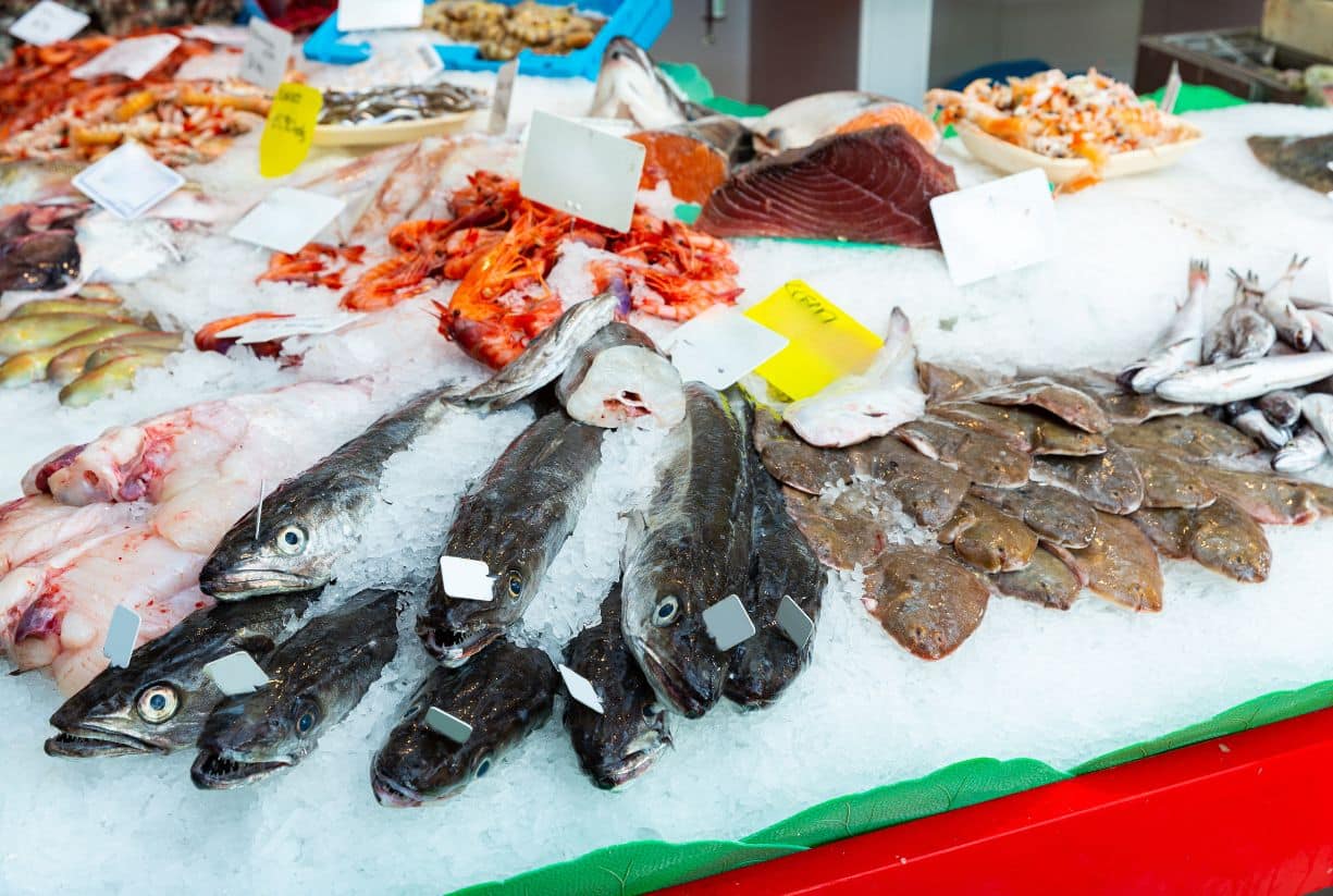 Αυτά τα ψάρια μπορείτε να καταναλώνεται καθημερινά