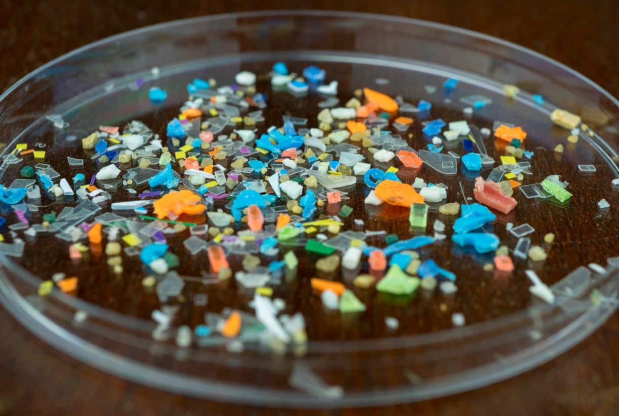 Αυξημένα επίπεδα μικροπλαστικών στον εγκέφαλο, σιωπηλή απειλή για την υγεία