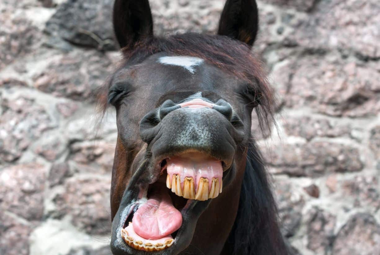 Σόκιν ανεκδοτάρα της ημέρας: Ο Μπόμπος και η έκθεση