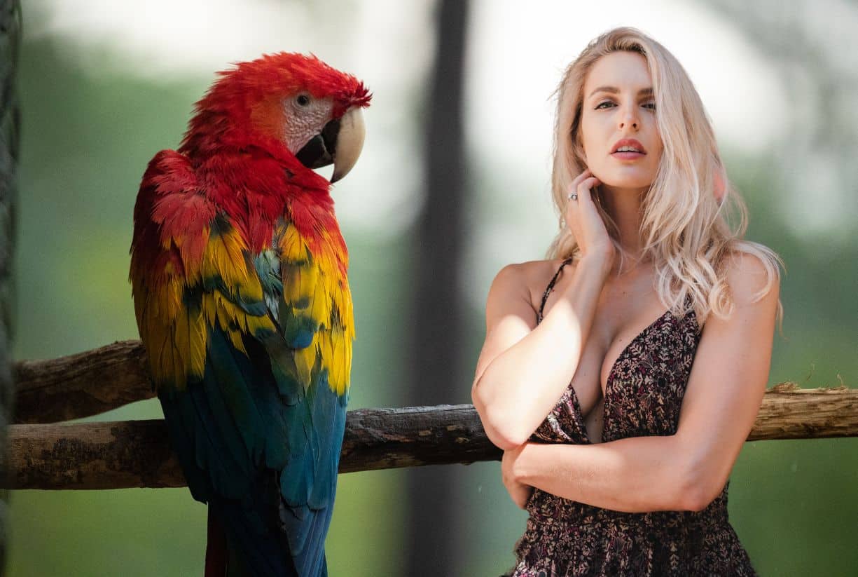 Ανεκδοτάρα με την ξανθιά και τον παπαγάλο