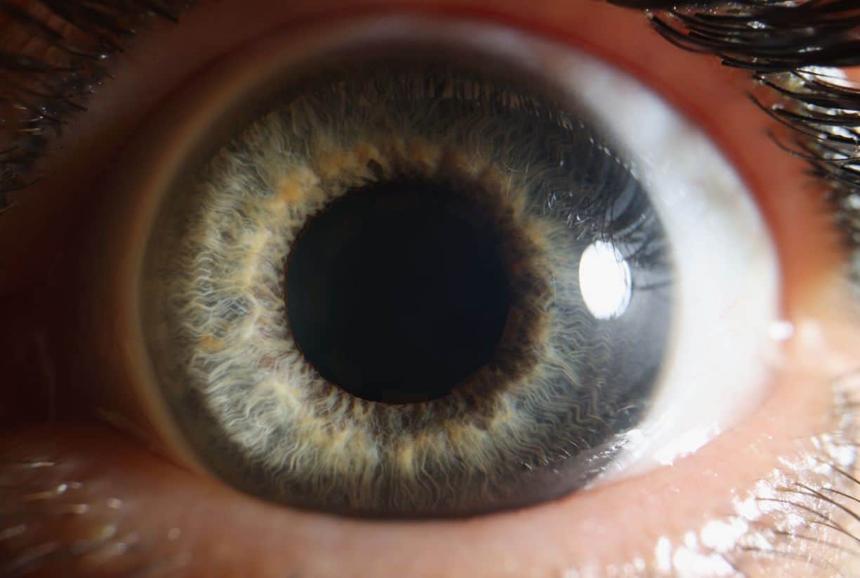 Δες τι συμβαίνει στο σώμα σου όταν κάποιος σου αρέσει