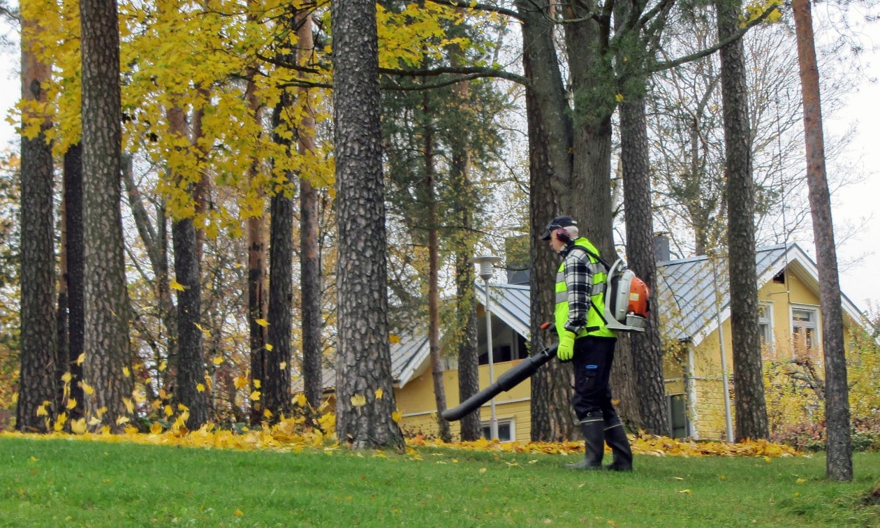 Ελβετία: Δημοψήφισμα για τους… φυσητήρες φύλλων έκανε η Ζυρίχη – Ποια η λαϊκή ετυμηγορία