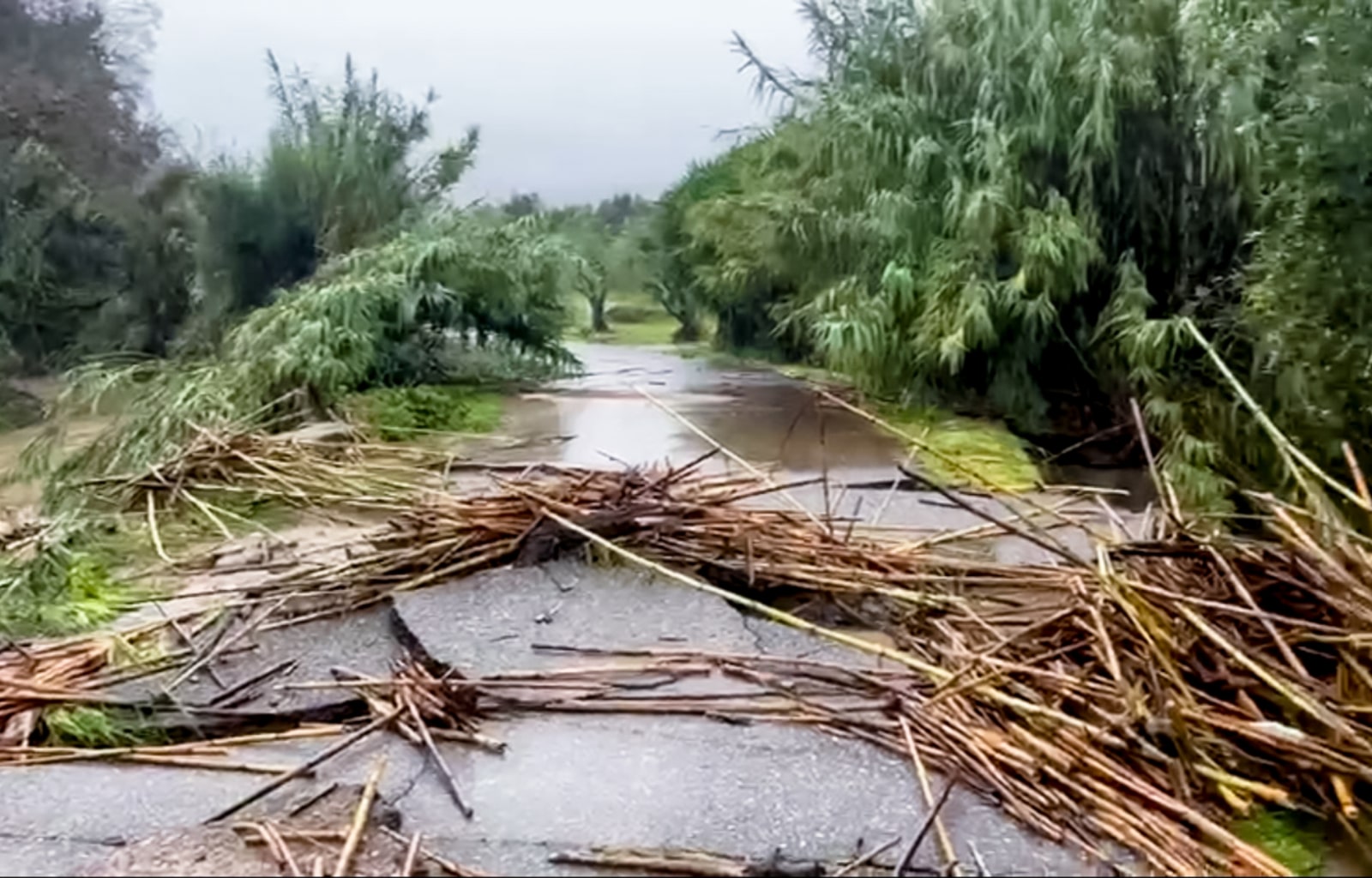 112 στην Υπέρεια Λάρισας: Υπερχείλισε ο ποταμός Ενιπέας – Ζητούν από τους κατοίκουν να φύγουν