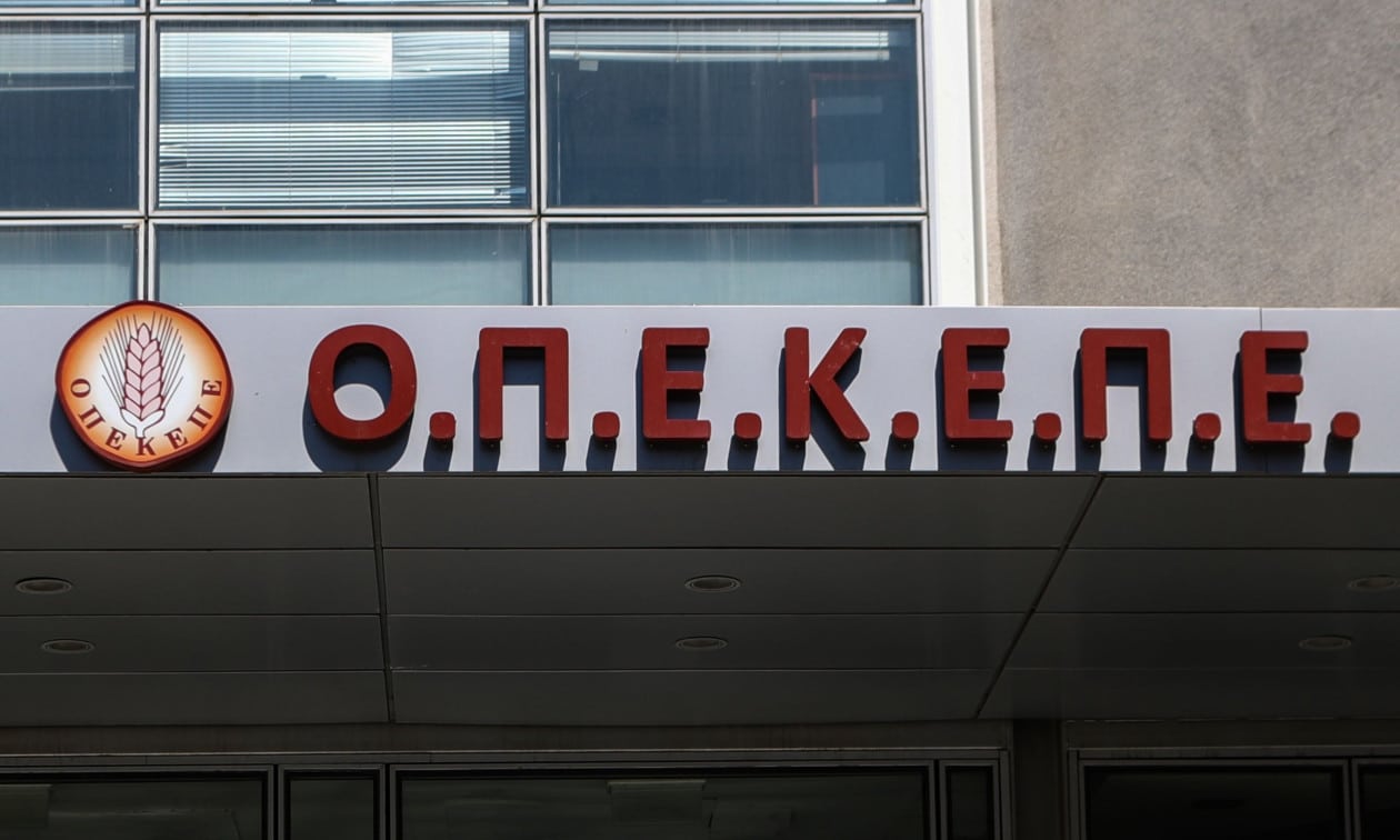 ΟΠΕΚΕΠΕ: Ελεύθεροι μετά τις απολογίες τους οι πρώτοι 12 κατηγορούμενοι στην Κρήτη