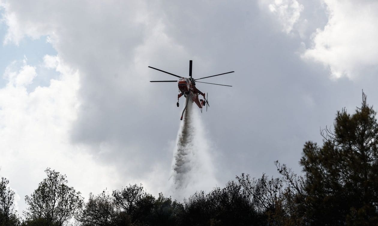 Υπό έλεγχο δασική πυρκαγιά στην Ημαθία – Οριοθετήθηκε η φωτιά στη Ροδόπη
